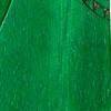 green stain