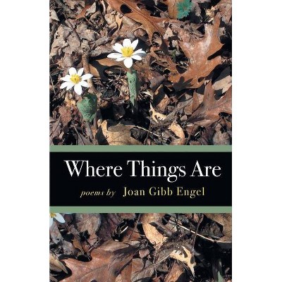 Where Things Are - by  Joan Engel (Paperback)