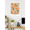 Trends International Reinders: Fruit Market - Valencia Oranges Unframed Wall Poster Prints - 2 of 4