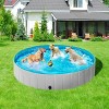 Yaheetech Foldable Pet Swimming Pool for Cats and Dogs - 2 of 4