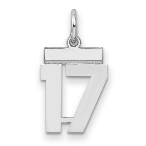 Black Bow Jewelry Sterling Silver, Athletic Collection, Small Polished Number 17 Pendant - 1 of 3