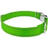 Country Brook Petz Premium Reflective Nylon Dog Collar - 3 of 4