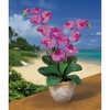 HomeStock Double Phalaenopsis Silk Orchid Flower Arrangement - 2 of 2