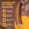 WhiteTail Naturals Jumbo XXL Deer Antler Dog Chew – Extra Large, Long-Lasting Natural Bone for Aggressive Chewers – Odorless, Mess-Free, Made in USA - 3 of 4