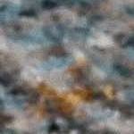 mustard, mediumgray, lightblue, darkblue, dustypink