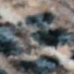 mustard, mediumgray, lightblue, darkblue, dustypink