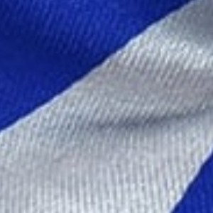royal blue and silver