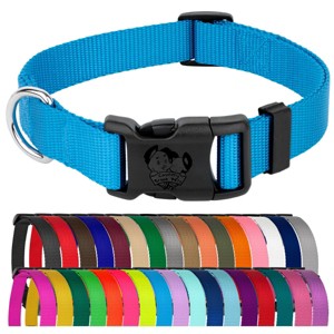Country Brook Petz Everyday Nylon Dog Collar - 1 of 4