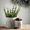 Sullivans Weathered Metal Tree Planters Set of 3, 7"H, 5.75"H & 4.25"H White - 3 of 3
