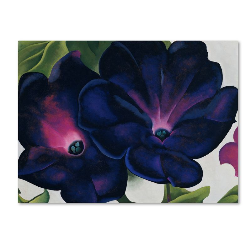 Trademark Fine Art -Georgia O'Keefe 'Black and Purple Petunias' Canvas Art, 2 of 4