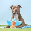BARK Spring Picnic in the Bark Robbin' Robin Dog Animal Plush Toy - 4 of 4
