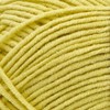 Lion Brand Tom Daley - The Cottony One Yarn - 2 of 2