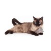 Hauspanther ModShakers Cat Toys by Primetime Petz Playtime Pleasures for Every Furry Friend - 2 of 4