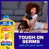 Mr. Clean Lemon Liquid Antibacterial Multi-Surface Cleaner - 4 of 4