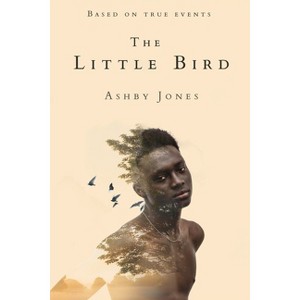 The Little Bird - by  Ashby Jones (Paperback) - 1 of 1