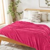 Inhand Flannel Throw Blanket, 50”x60” Super Soft Fuzzy Blanket for Couch Sofa Bed Office, Cozy Plush Lightweight Blanket Throw Size - 4 of 4