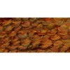 Lion Brand Homespun Yarn - 2 of 2