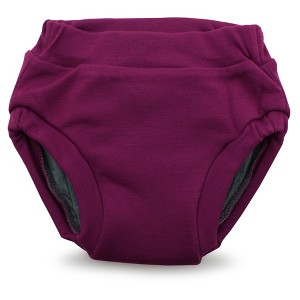 Kanga Care Ecoposh OBV (Organic viscose of Bamboo Velour) Potty Training Pants - 1 of 4