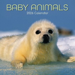 2026 Square Wall Calendar, Baby Animals, 16-Month Animal Theme, 180 Reminder Stickers (12x12 In) - 1 of 4