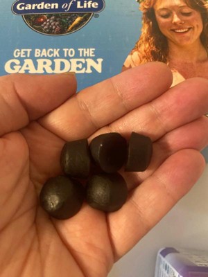 Guest review image 3 of 3, zoom in