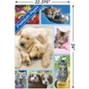 Trends International Keith Kimberlin - Puppies and Kittens Collage Unframed Wall Poster Prints - 3 of 4