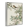 Stupell Industries Traditional Dogwood & Bird, 24" x 30" - 3 of 4