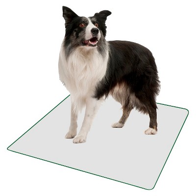 Poochpad Reusable Potty Pad For Mature Dogs : Target