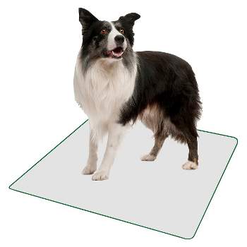 Poochpad Reusable Potty Pad For Dogs - White - Suv : Target