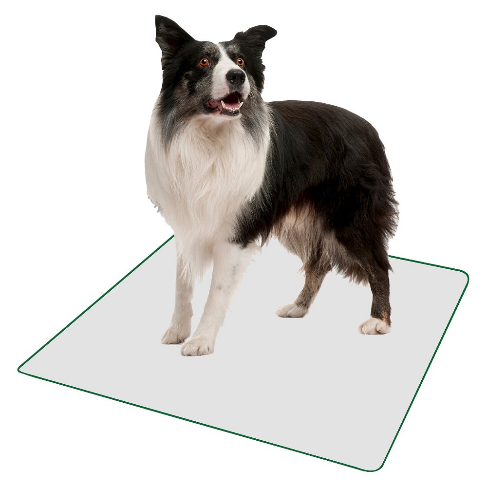 PoochPad Indoor Potty Replacement Reusable Pad - L: Odor Control, Absorbs and Locks in Wetness, For All Ages Dogs