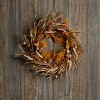 Mixed Fall Harvest Wreath 25"D - 3 of 3