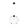 Elegant Lighting Baxter 1 Light Black Pendant With Clear Glass - 3 of 4