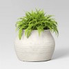 Sun Bleached Composite Indoor Outdoor Planter Pot Cream - Threshold™ designed with Studio McGee - image 3 of 4