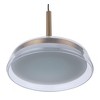 Craftmade Lighting 1 - Light Pendant in  Satin Brass - 2 of 4