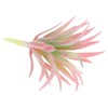 Unique Bargains Unpotted Realistic Textured Garden Decoration Fake Succulent Plants - 3 of 4