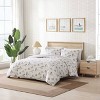 Tommy Bahama 3pc Beach Club Cotton Duvet Set Gray/Red - 4 of 4