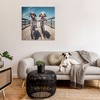 Stupell Industries Coastal Bicycle Dogs, 36" x 36" - 2 of 4