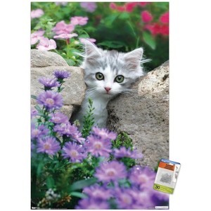 Trends International Keith Kimberlin - Kitten - Stones and Flowers Unframed Wall Poster Prints - 1 of 4