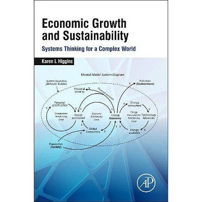 Economic Growth and Sustainability - by  Karen L Higgins (Paperback)