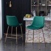 Roundhill Furniture Aufurr Modern Velvet 26.50 Counter Height Stool, Green, Set of 2 - 3 of 4