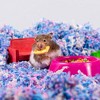PetsPick Uber Soft Paper Pet Bedding for Small Animals - 4 of 4
