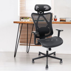 Okak Mesh Ergonomic Office Chair, Computer Chair with Adjustable Lumbar Support, Armrest and Headrest, Criss Cross Chair for Home, Office, Black - 1 of 4