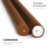 10 inch Taper Candles Set of 12 - Tall Candles Unscented - Tapered Candle Sticks - 2 of 4