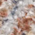 navy , light blue, off white, rust, taupe, tan, olive