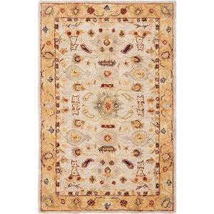 Anatolia AN543 Hand Tufted Indoor Rugs - Safavieh - 1 of 4