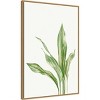 Amanti Art 22" x 33" Cast Iron Plant II by and Slyp Errico Framed Canvas Wall Art Light Brown : Vertical Lithograph, Modern Decor Style - 2 of 4