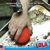 Lola Products Plastic Mesh Scouring Pads - 3.375" x 1.25", Non-Scratch Scrubbers to Clean Dishes, Assorted Colors - Red, Blue & Yellow - 3 of 4