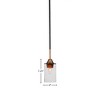 Toltec Lighting Paramount 1 - Light Pendant in  Matte Black/Brass with 4" Clear Bubble Shade - 2 of 2