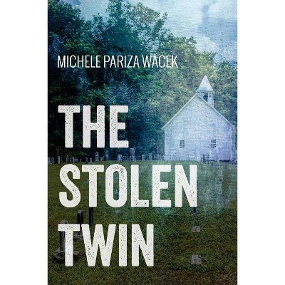 The Stolen Twin - (Paperback)