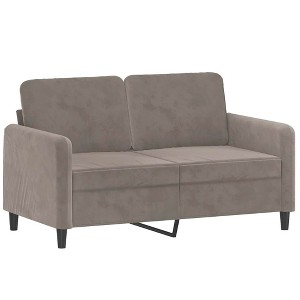 vidaXL Light Gray Sofa - 2-Seater - Comfortable Velvet Fabric Upholstery - Robust Plywood and Metal Frame - Modern and Chic - 1 of 4
