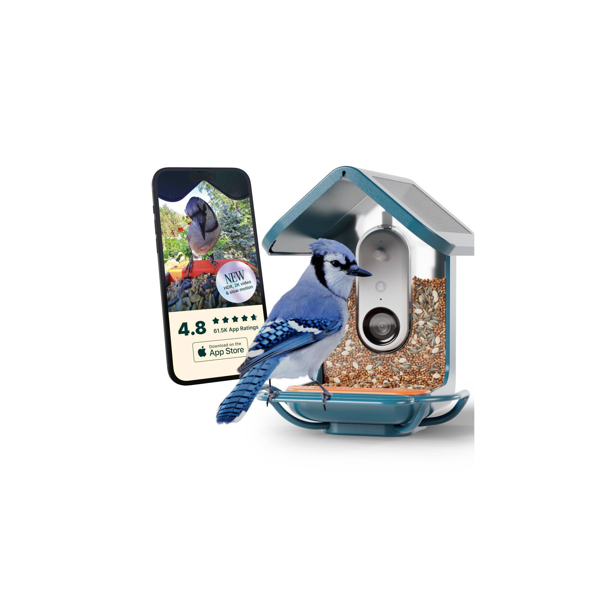 Birdbuddy Pro Solar Smart Bird Feeder + Perch Extender